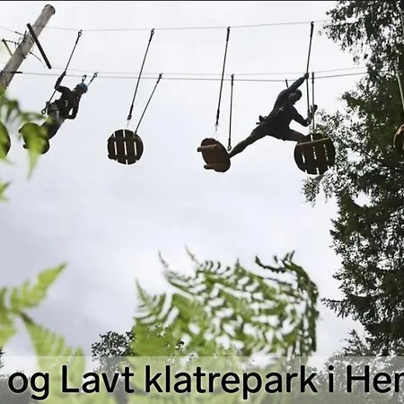 Skarsnuten Panorama 61,