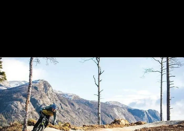 Апартаменты Skarsnuten Panorama 61, *