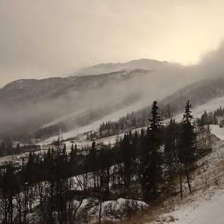 Skarsnuten Panorama 61, Daire