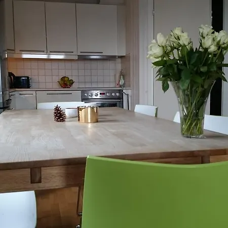 Daire Skarsnuten Panorama 61, Hemsedal