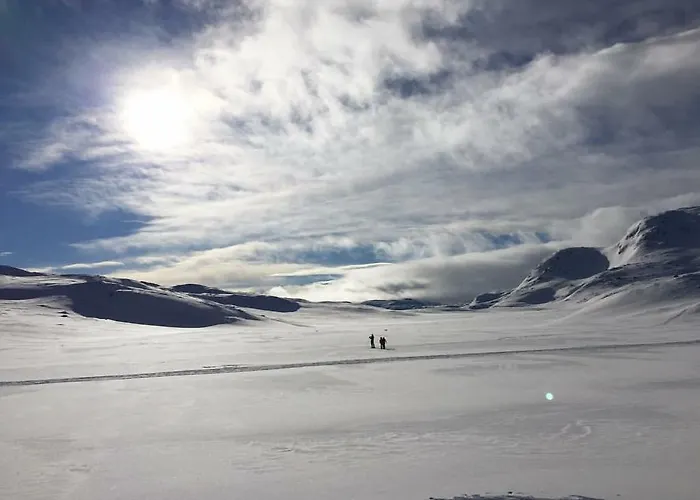 Skarsnuten Panorama 61, Apartament Hemsedal